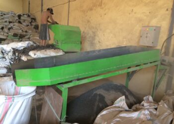 Wii Study Industrial Seaweed Chopper Machine Full Setup Hero