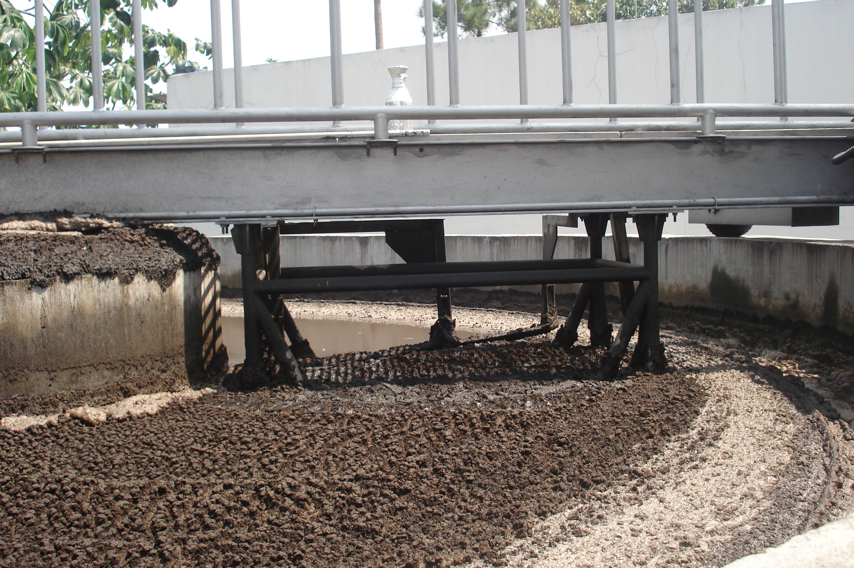 Tangki clarifier sirkular yang dioperasikan dengan beban lumpur organik yang tebal.