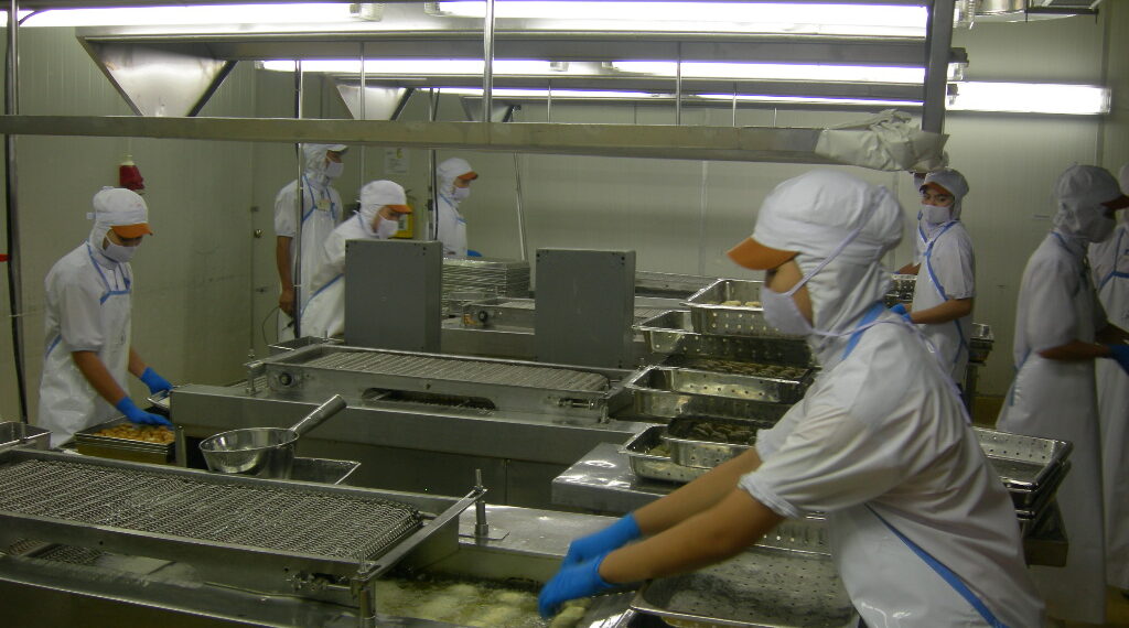 Fries Conveyor Portfolio