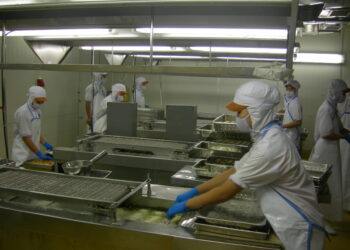 Fries Conveyor Portfolio